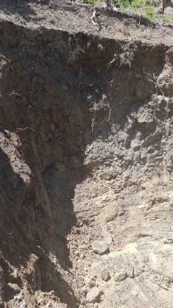 2017-07-13-PHOTO-00000017.jpg